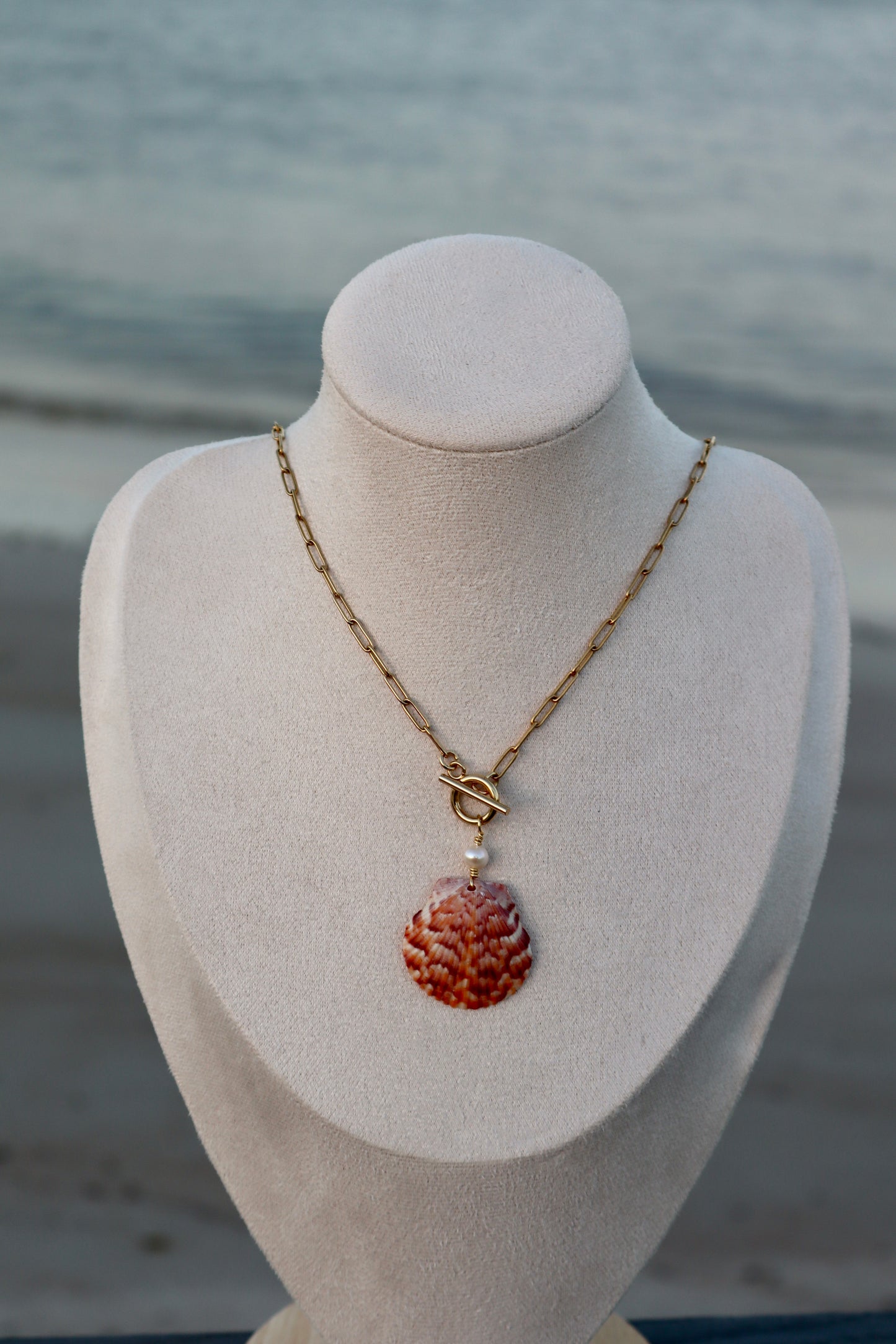 Vilano Seashell Toggle Necklace